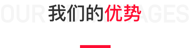 我们的优势